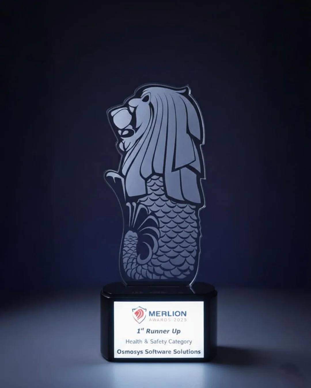 Merlin Award Logo